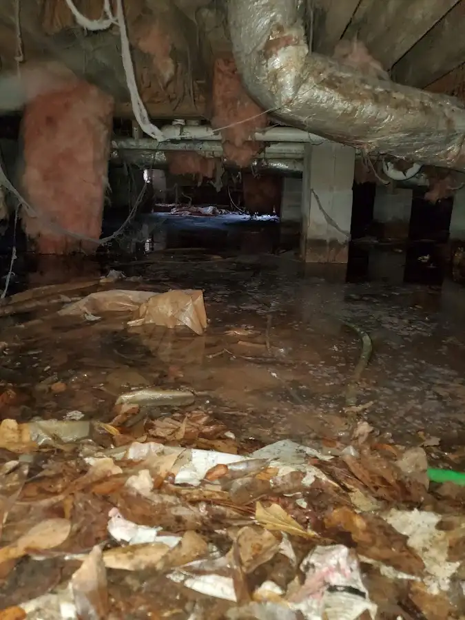 Crawl space flood assessment for Leak Detection & Repair in Berkley